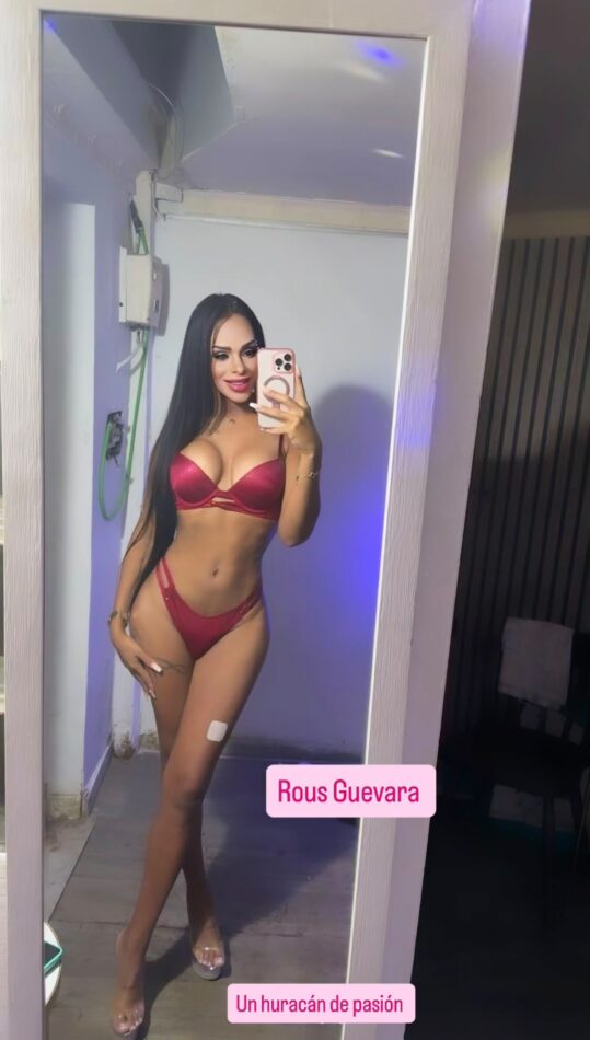 Rous Guevara 3