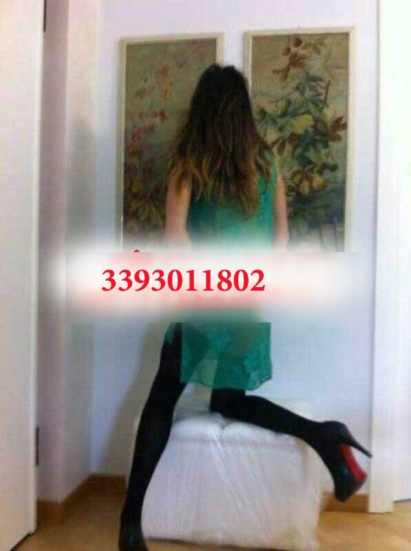 Ambra Trans 1
