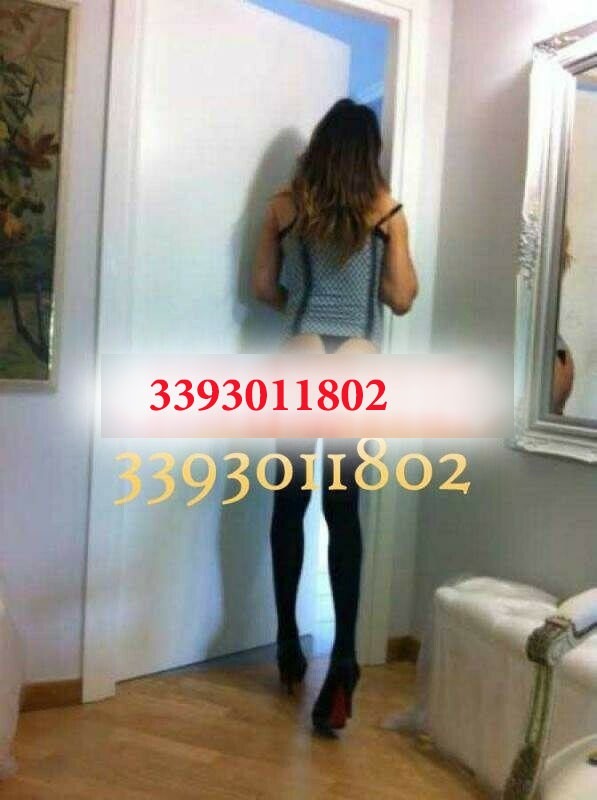 Ambra Trans 3