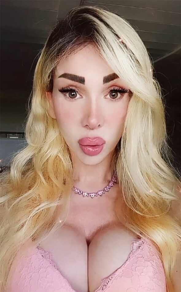 Barbie Valentina 5