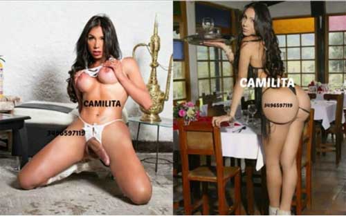 Camillita 6