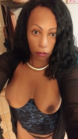 Solo 19
