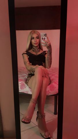 Madisson 6